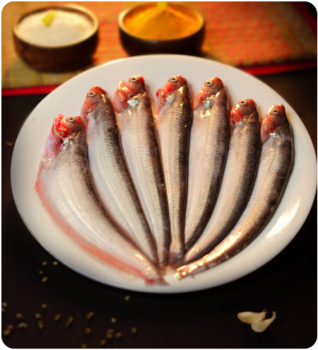 Buy pabda fish online in Kolkata