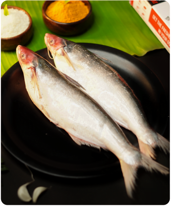 Buy bacha fish online kolkata