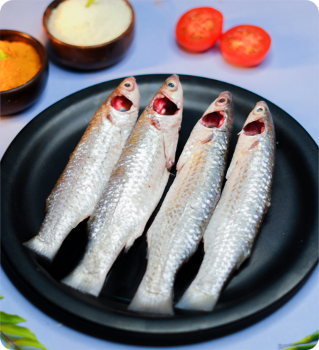 buy parshe fish online kolkata