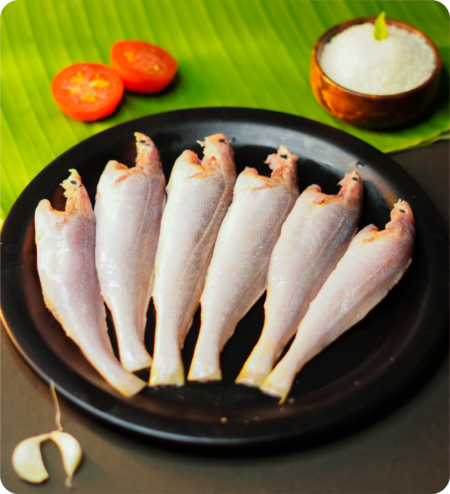 Buy bhola fish online kolkata